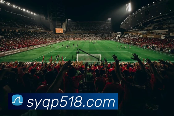 多媒体互动体验